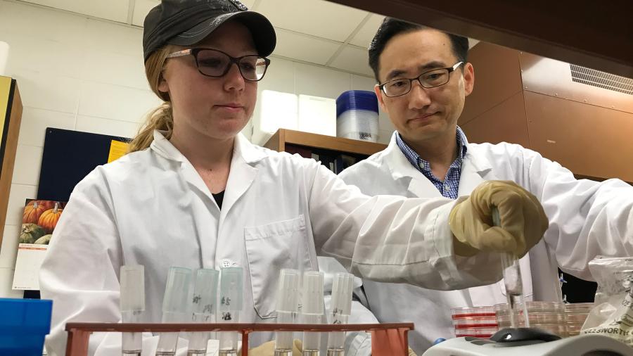 Emily Lehmann works with Assistant Professor Taejo Kim in a food science lab at UW-Stout. 