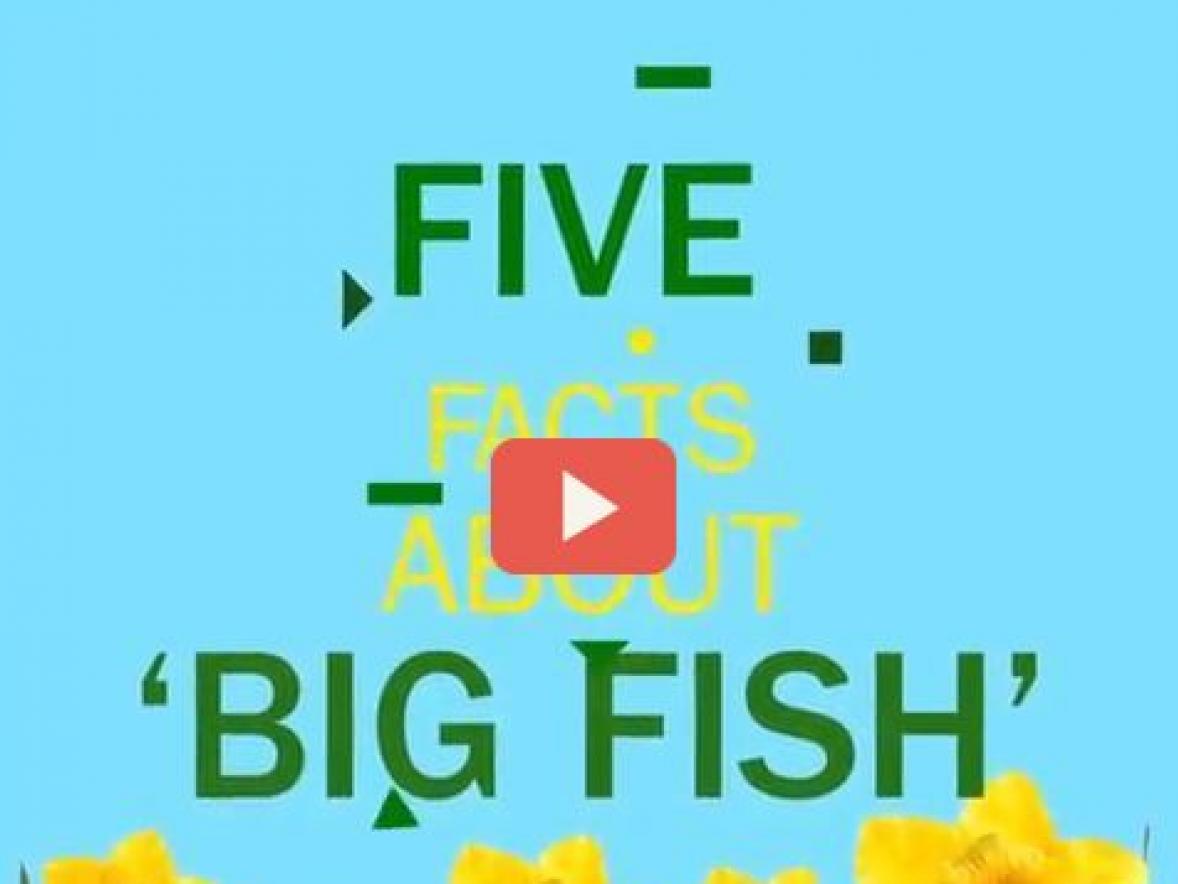 5 Facts About 'Big Fish: The Musical'
