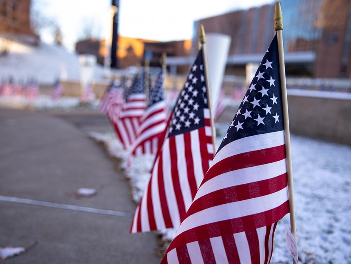 American flags outside Memorial Student Center for Veterans Day.